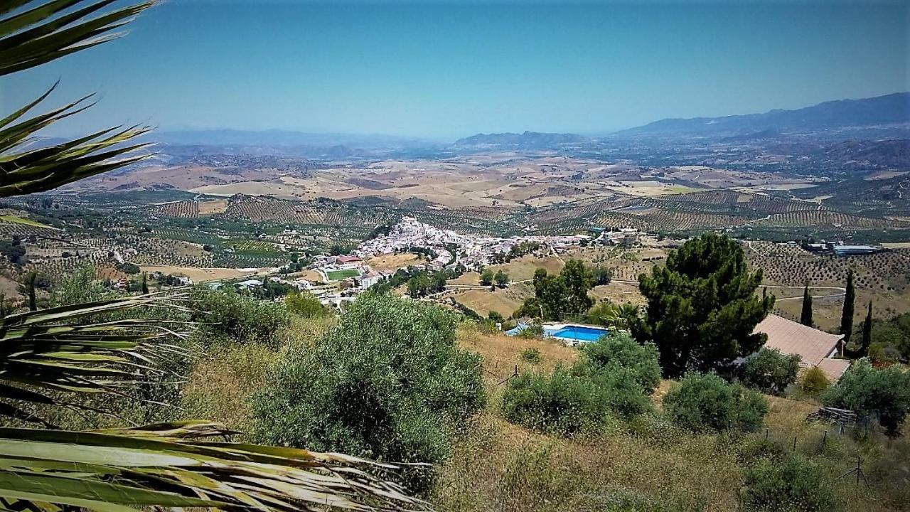 Вилла Casa Liebre Алосайна Экстерьер фото